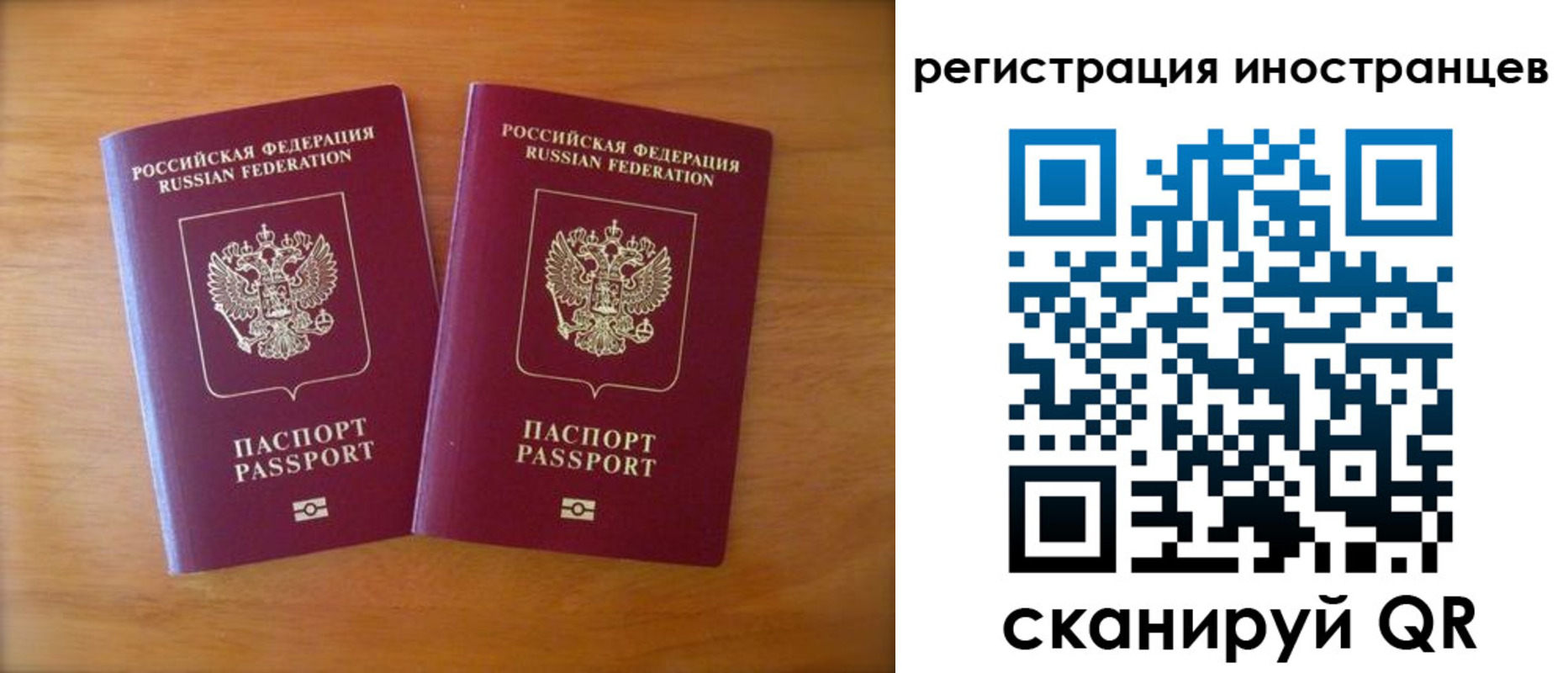 прописка поиск в Михайловке